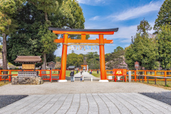 上賀茂神社櫻花Sakura at Kamigamo-jinja Shrine