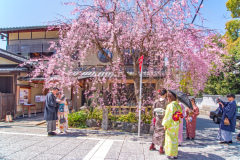 八坂神社Jasaka-jinja Shrine