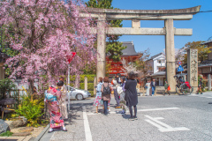 八坂神社Jasaka-jinja Shrine