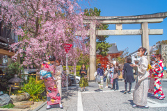 八坂神社Jasaka-jinja Shrine