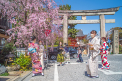 八坂神社Jasaka-jinja Shrine