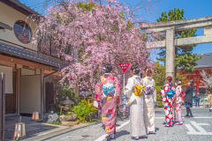 八坂神社Jasaka-jinja Shrine