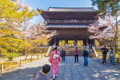 南禪寺樱花
Sakura at Nanzen-ji Temple