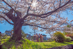 鴨川祇園四條