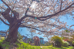 鴨川祇園四條