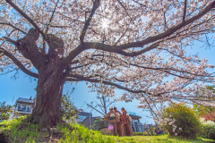 鴨川祇園四條